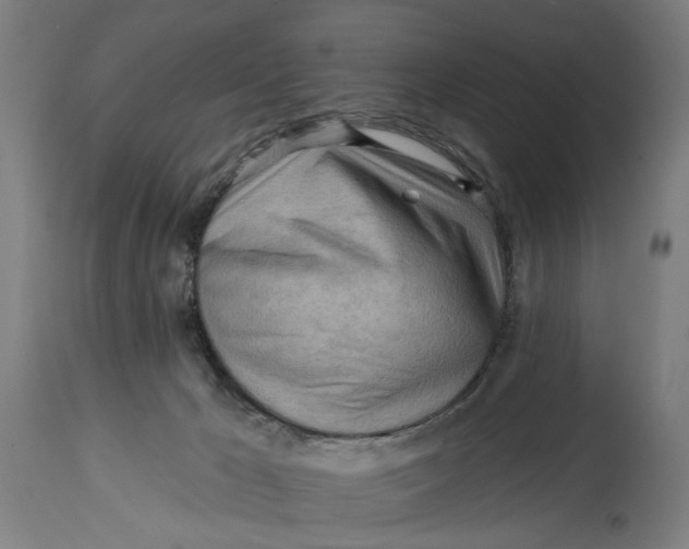 X0000114630029200911101246