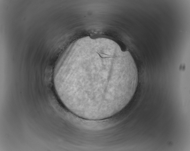 X0000114630030200911101246