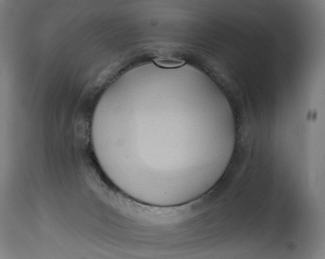 X0000114630031200911101246