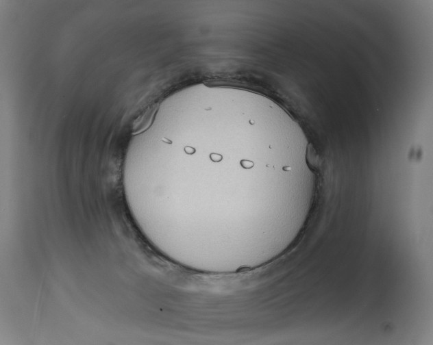 X0000114630033200911101246