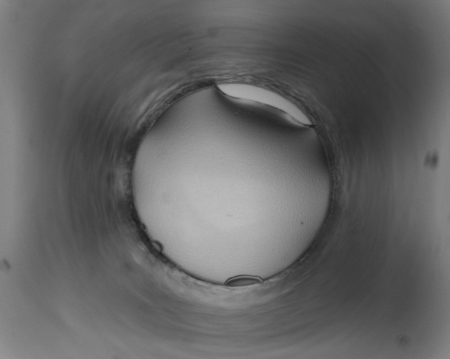 X0000114630035200911101246