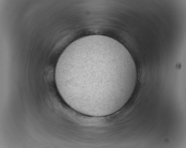 X0000114630036200911101246