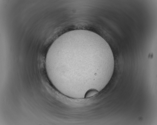 X0000114630038200911101246