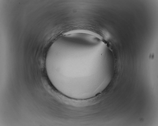 X0000114630039200911101246