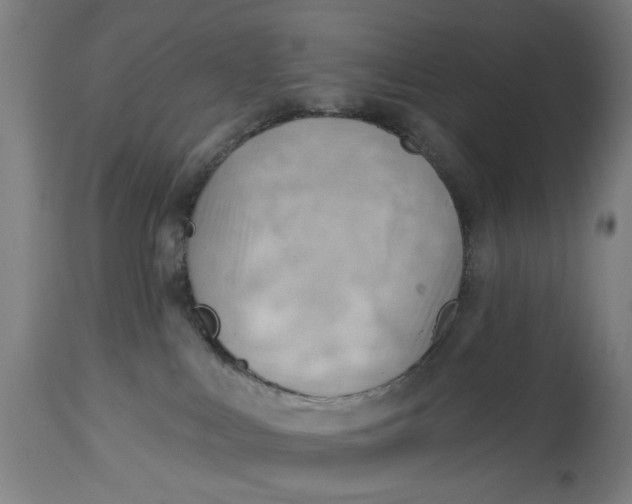 X0000114630043200911101246