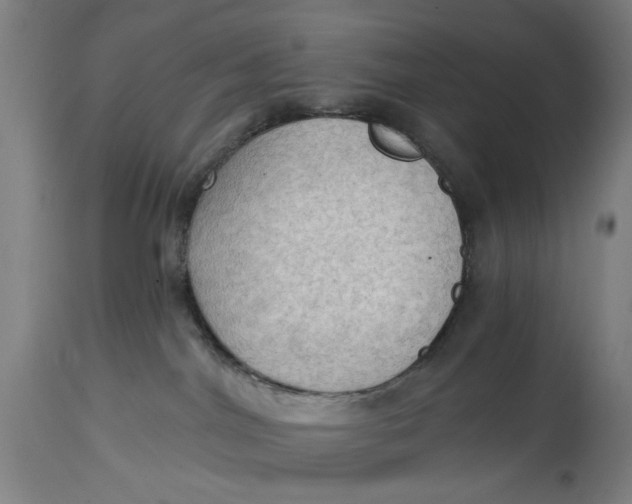 X0000114630044200911101246