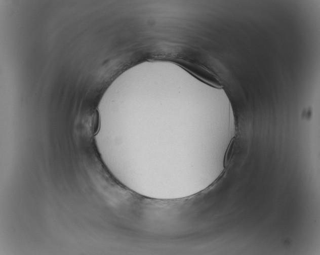 X0000114630045200911101246