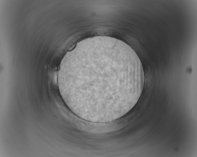 X0000114630046200911101246