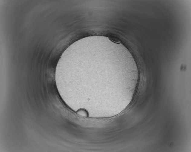 X0000114630048200911101246