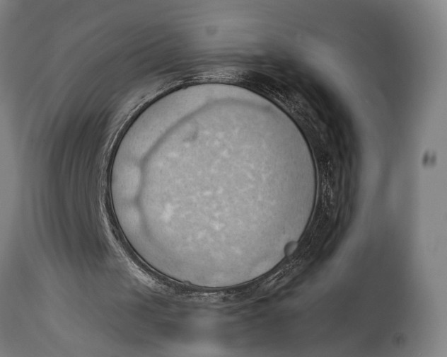 X0000114630049200911101245