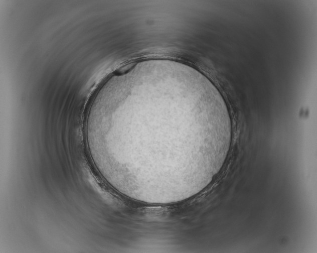 X0000114630050200911101245