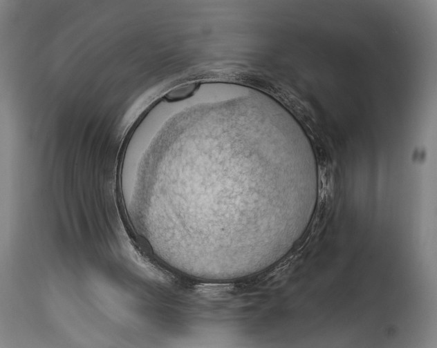 X0000114630051200911101245