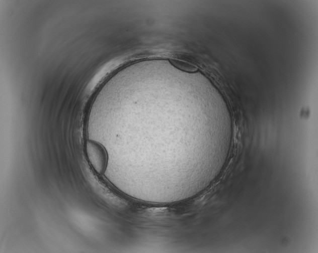 X0000114630054200911101245