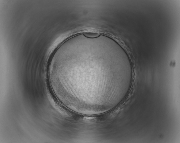 X0000114630055200911101245