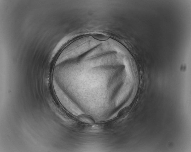 X0000114630056200911101245