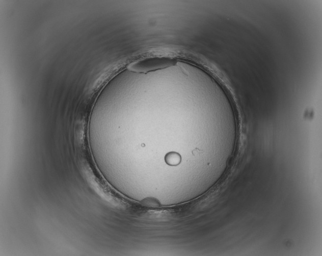 X0000114630057200911101245