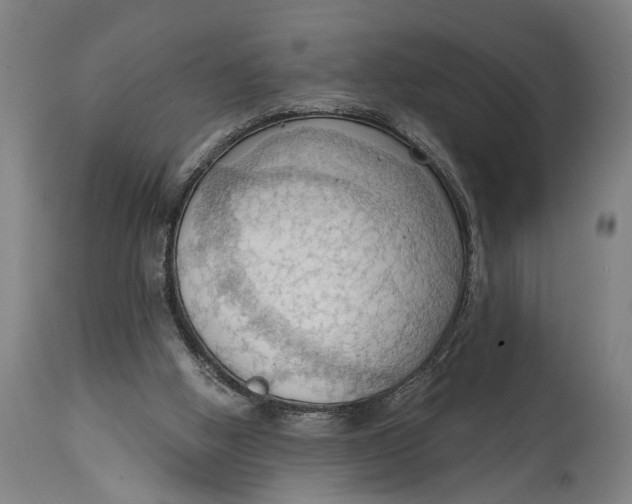 X0000114630058200911101245