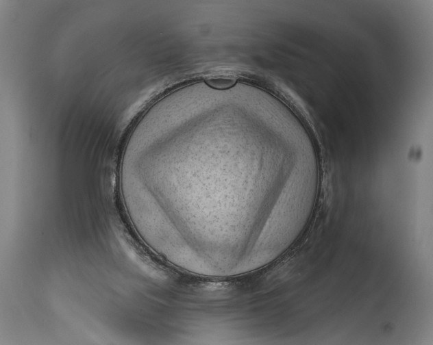 X0000114630059200911101245