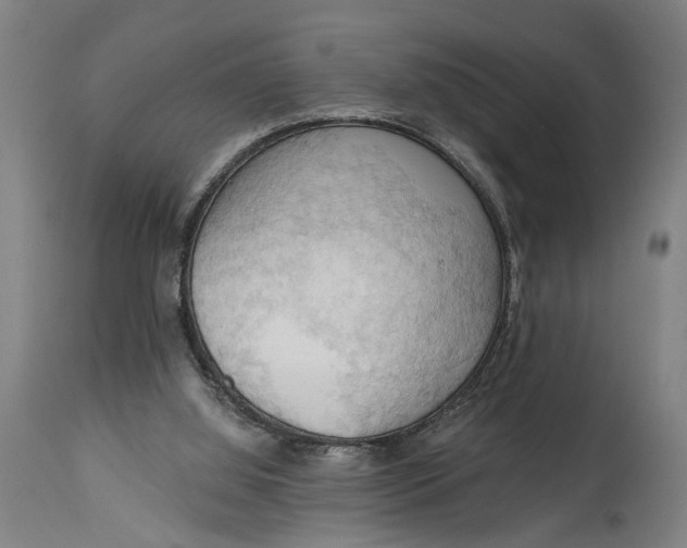 X0000114630060200911101245