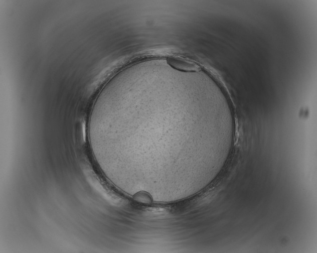 X0000114630061200911101245