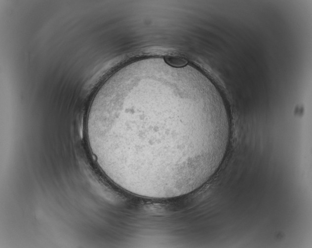 X0000114630062200911101245