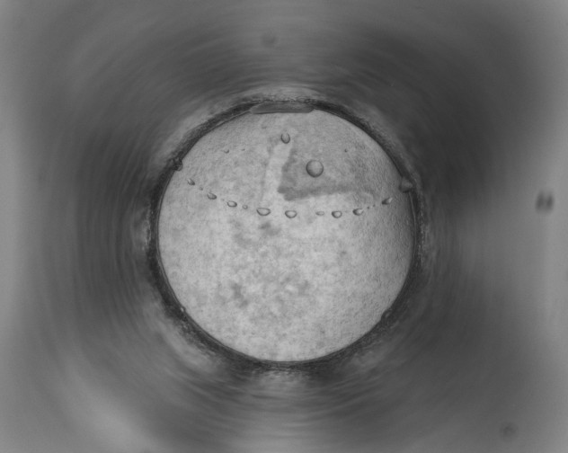 X0000114630063200911101245