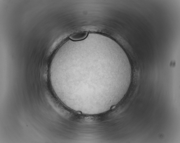 X0000114630064200911101245