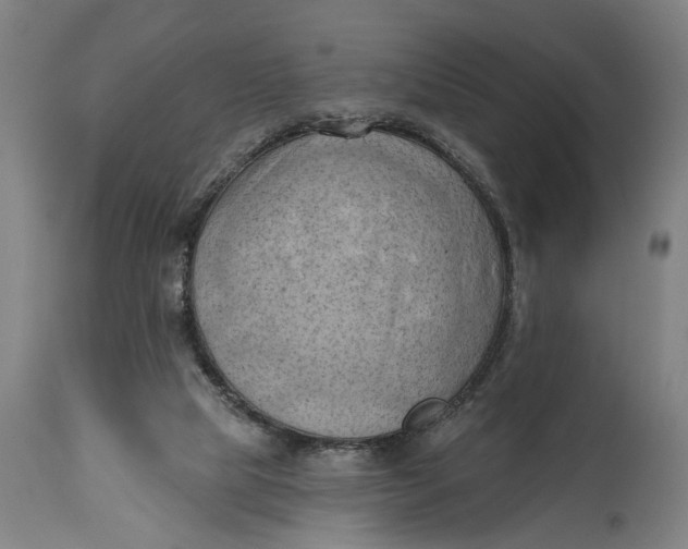 X0000114630065200911101245