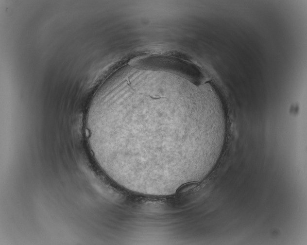 X0000114630066200911101245