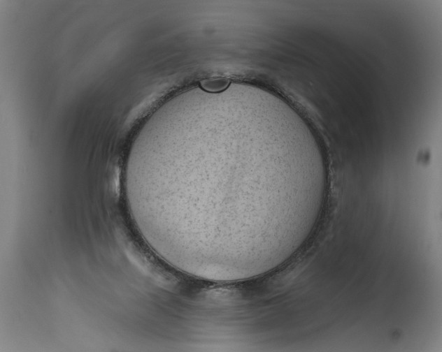 X0000114630067200911101245