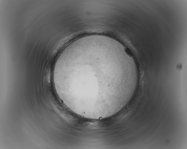 X0000114630068200911101245