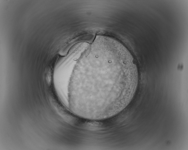 X0000114630069200911101245