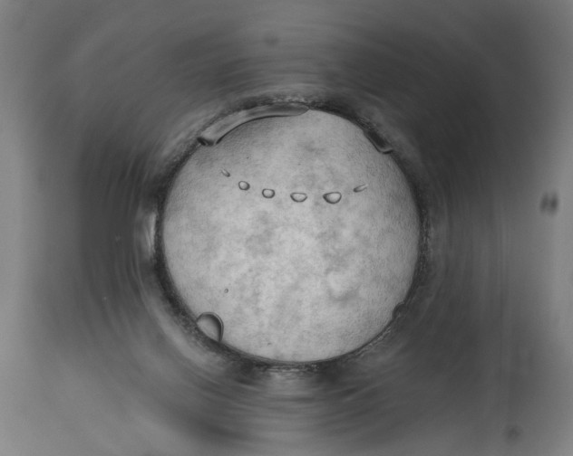 X0000114630070200911101245