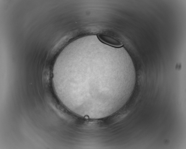 X0000114630072200911101245