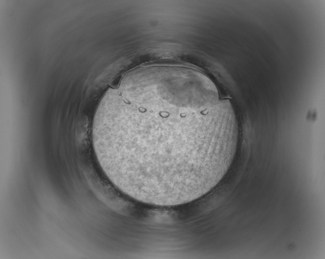 X0000114630073200911101245