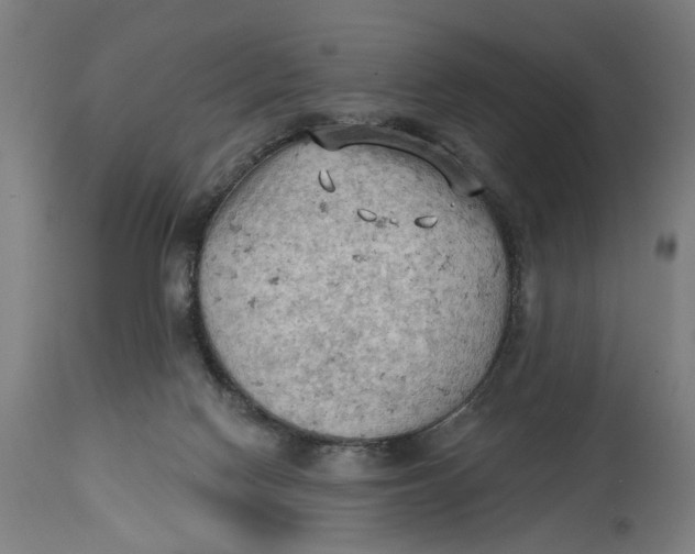 X0000114630074200911101246