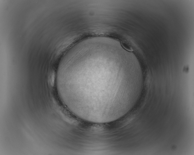 X0000114630076200911101246