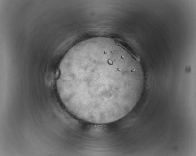 X0000114630077200911101246