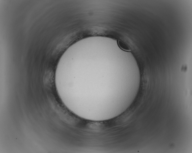 X0000114630079200911101246