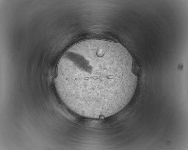 X0000114630081200911101246