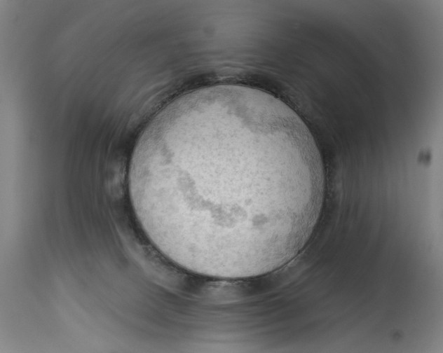 X0000114630082200911101246