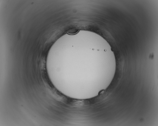 X0000114630083200911101246