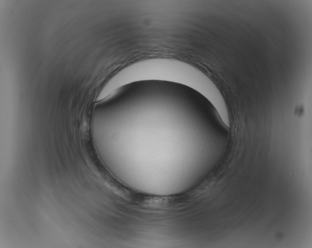 X0000114630084200911101246