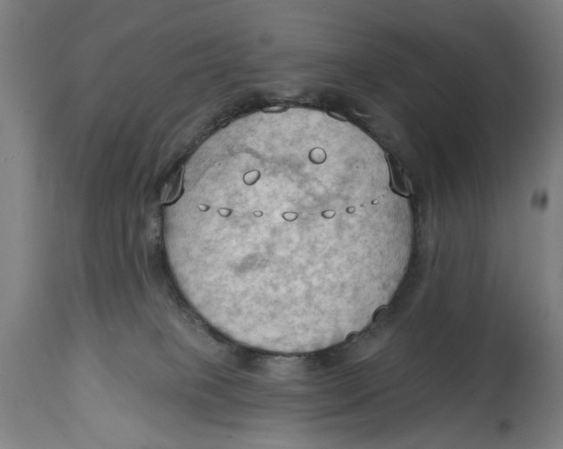 X0000114630085200911101246