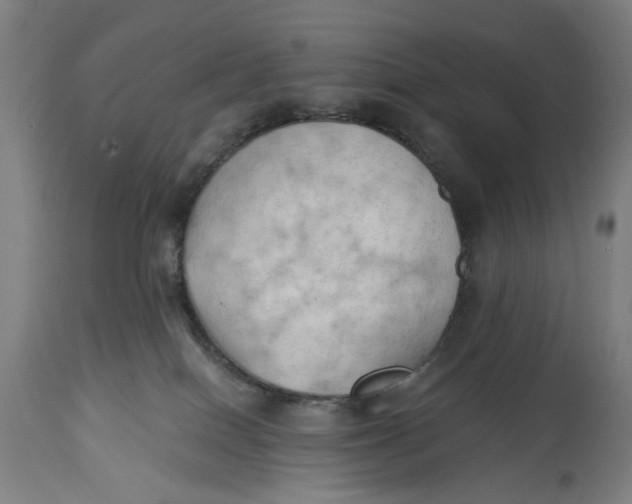 X0000114630086200911101246