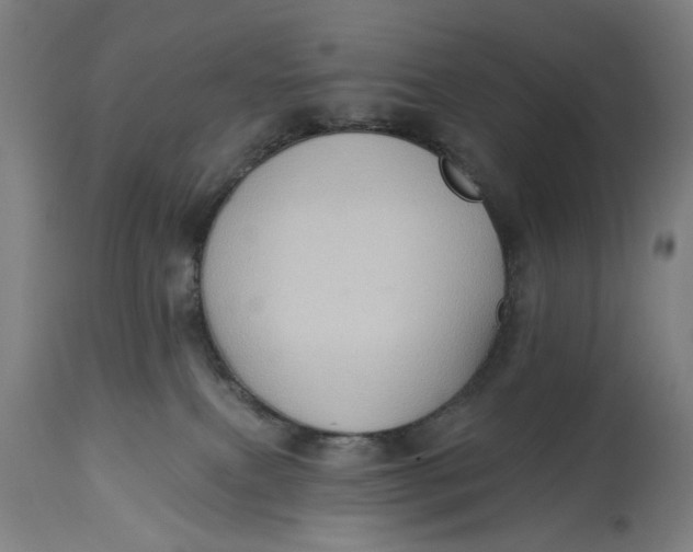 X0000114630087200911101246