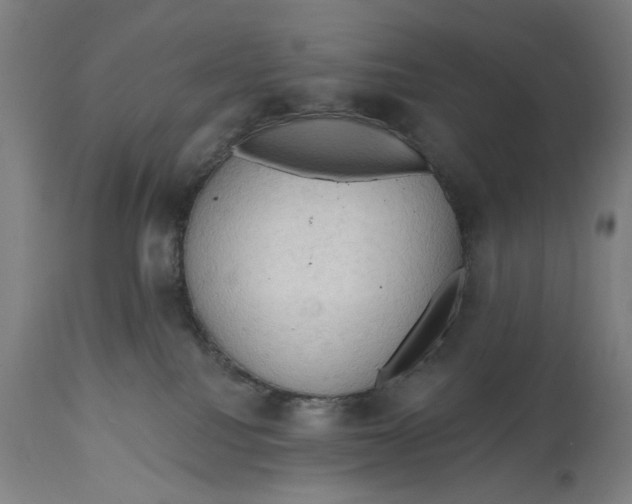 X0000114630088200911101246