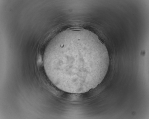 X0000114630089200911101246