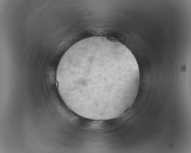 X0000114630090200911101246