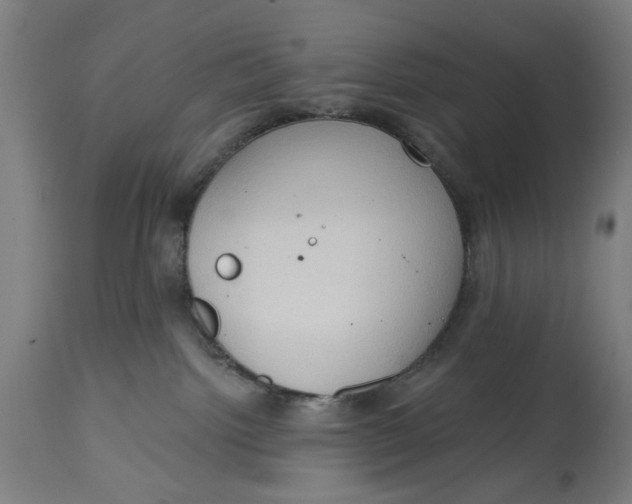 X0000114630092200911101246